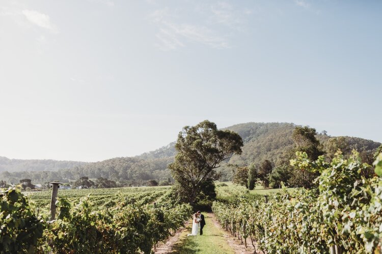 Micro wedding venue at a vineyard in Shoalhaven Heads
