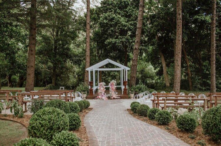 Pine Forest Wedding Ceremony Site
