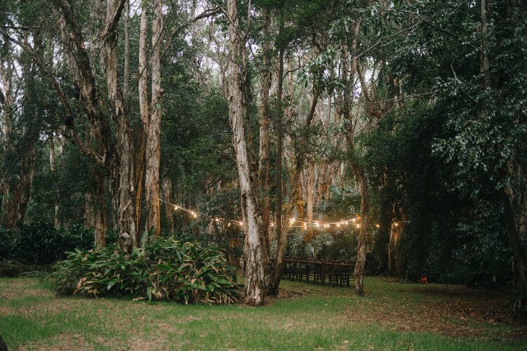 Gorgeous reception space with festoon lights in a beautiful private forest