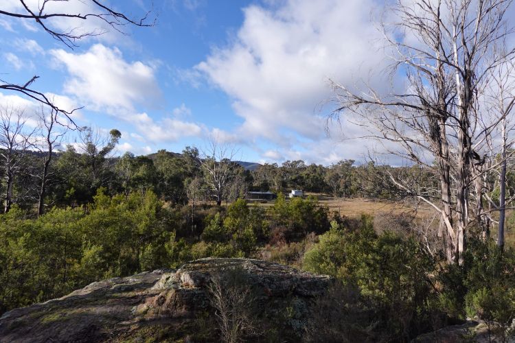 Blank Canvas event space in Wollemi wilderness