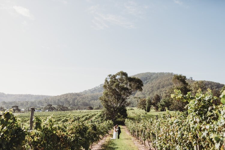 Farm style wedding venue surrounded by bush covered hills