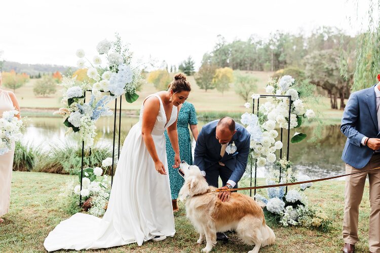 Dog Friendly wedding destination Wollombi