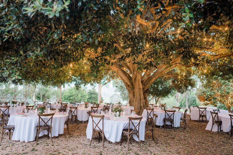 Fig Tree Park Garden Venue WIth View