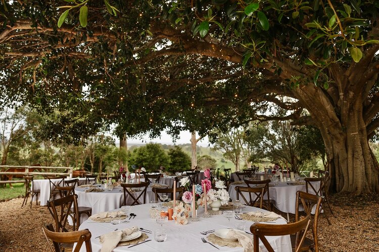 Fig Tree Park Weddings Alfresco