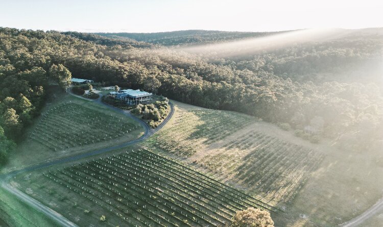 Mimosa Wines Exclusive Use Wedding Venue