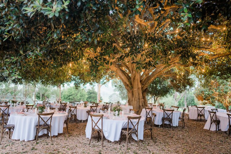 Outdoor wedding reception area at Fig Tree Park on the Sapphire Coast