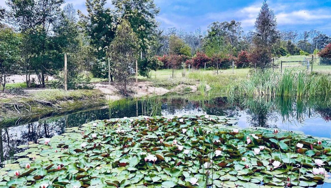 Eight Acres Lakes Entrance Wedlockers
