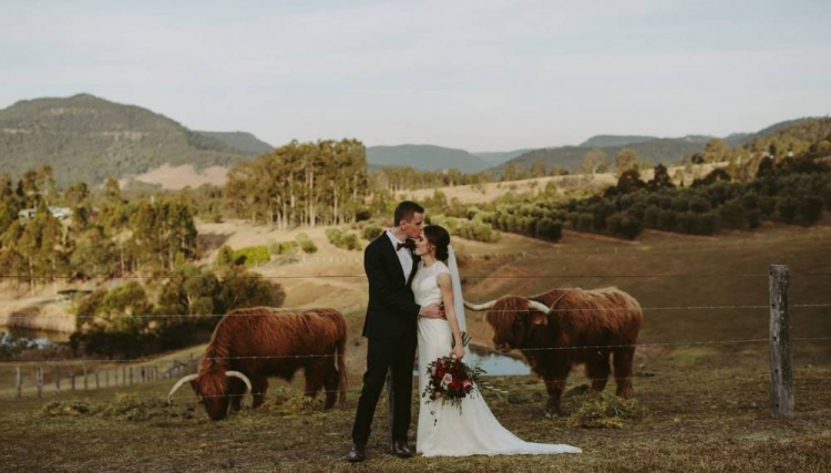 Lonely Goat Olives is a Wollombi wedding venue surrounded by farm land