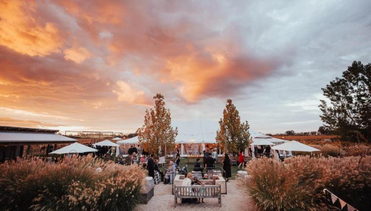 pet friendly wedding venue vinegrove