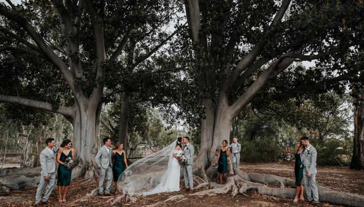 rustic venue tindarra