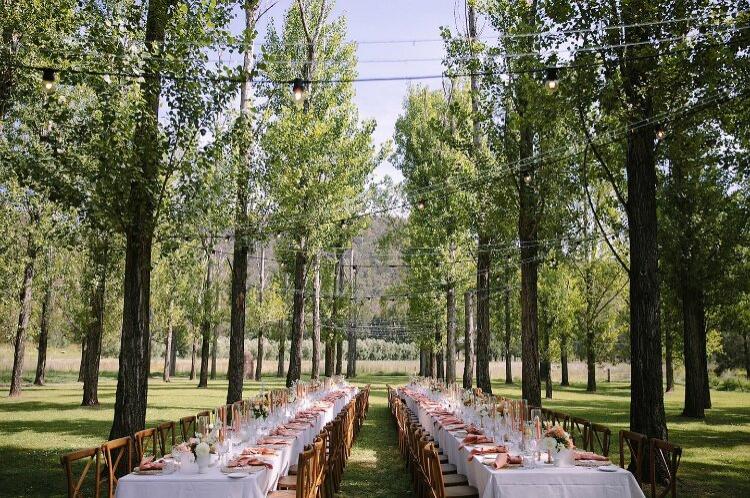 Outdoor wedding reception venue in Wollombi at Stonehurst Cedar Creek