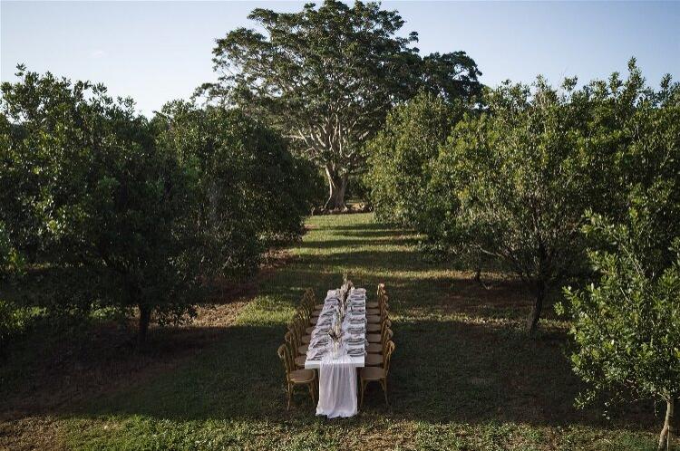 Macadamia Farm wedding venue at Tides Estate