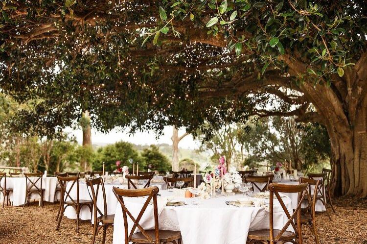 Outdoor Wedding Venue Fig Tree Park
