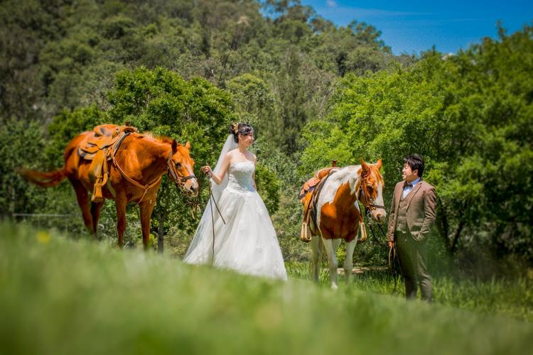 pet friendly wedding venue ding